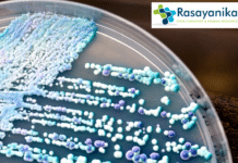 Healthcare Revolution: Plant Compound Defeats Incurable Fungal Infections! Candida