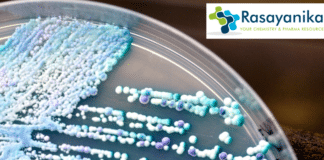 Candida
