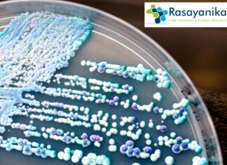 Candida