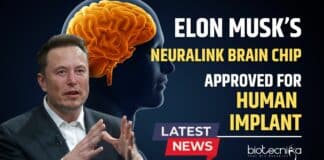 Neuralink Brain Chip Approved