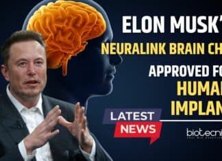 Neuralink Brain Chip Approved