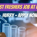 Freshers Job for MSc