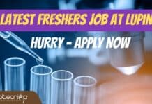 Freshers Job for MSc