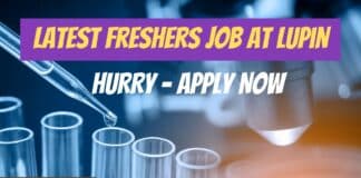 Freshers Job for MSc