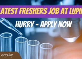 Freshers Job for MSc