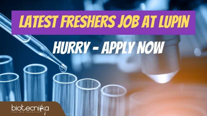 Freshers Job for MSc