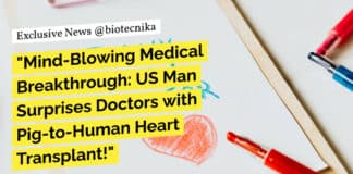 "Mind-Blowing Medical Breakthrough: US Man Surprises Doctors with Pig-to-Human Heart Transplant!"