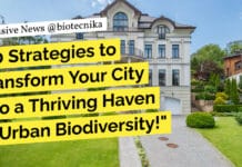 10 Strategies to Transform Your City into a Thriving Haven of Urban Biodiversity! "10 Strategies to Transform Your City into a Thriving Haven of Urban Biodiversity!"
