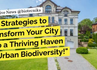 "10 Strategies to Transform Your City into a Thriving Haven of Urban Biodiversity!"