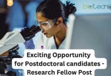 Exciting Opportunity for Postdoctoral Candidates at Azim Premji University PhD Jobs Azim Premji University - Apply For Research Fellow
