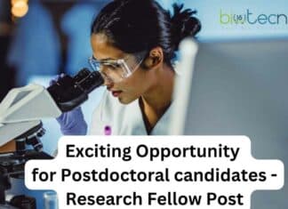 PhD Jobs Azim Premji University - Apply For Research Fellow