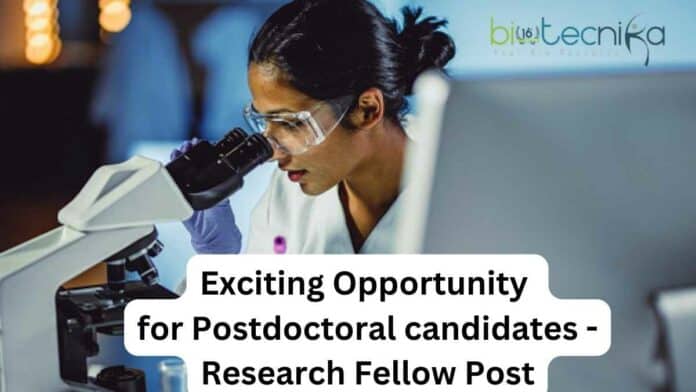 PhD Jobs Azim Premji University - Apply For Research Fellow