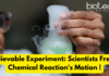 Unbelievable Experiment: Scientists Freeze a Chemical Reaction’s Motion! Scientists Freeze Chemical Reaction's Motion - An Experiment