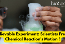 Unbelievable Experiment: Scientists Freeze a Chemical Reaction’s Motion! Scientists Freeze Chemical Reaction's Motion - An Experiment