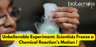 Scientists Freeze Chemical Reaction's Motion - An Experiment