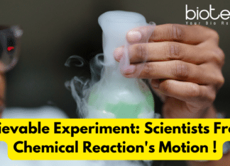 Scientists Freeze Chemical Reaction's Motion - An Experiment