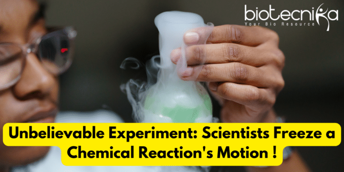 Scientists Freeze Chemical Reaction's Motion - An Experiment