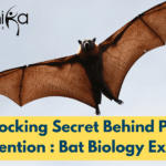 The Shocking Secret Behind Pandemic Prevention : Bat Biology Exposed! Shocking Secret Behind Pandemic Prevention : Bat Biology Exposed