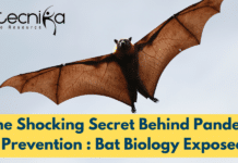 The Shocking Secret Behind Pandemic Prevention : Bat Biology Exposed! Shocking Secret Behind Pandemic Prevention : Bat Biology Exposed