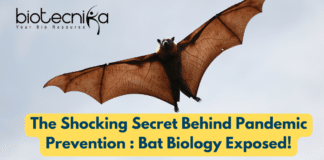 Shocking Secret Behind Pandemic Prevention : Bat Biology Exposed