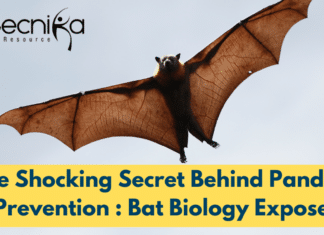 Shocking Secret Behind Pandemic Prevention : Bat Biology Exposed