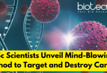 IISc Scientists Unveil Mind – Blowing Method to Target and Destroy Cancer! light