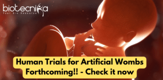 Human Trials for Artificial Wombs Forthcoming!! - Check it now
