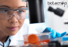 JRF Job For MSc Life Sciences at Mazumdar Shaw Medical Foundation – Apply Now! JRF Job for MSc Candidates at MSMF - Apply Now !