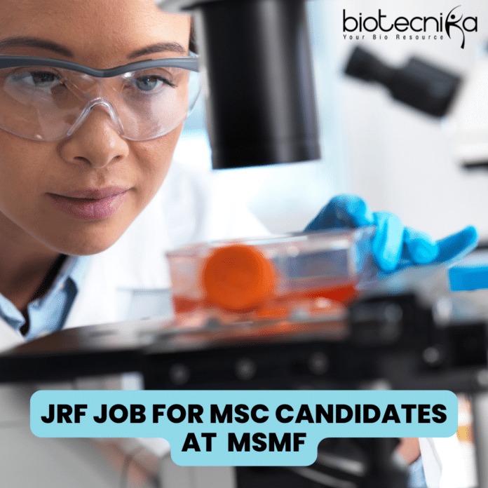 JRF Job for MSc Candidates at MSMF - Apply Now !
