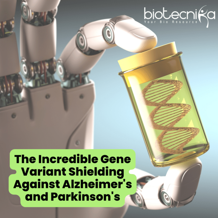 The Gene Variant Shielding Against Alzheimer's & Parkinson's