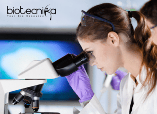 Post Doctoral Fellow Job for Ph.D. Candidates at IASST