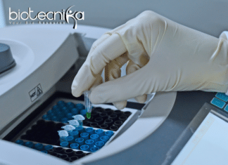 Scientific job for BSc/MSc Candidates at Siriprogen Life Sciences