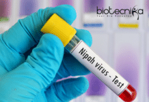 Nipah Virus Scare in Kerala: Indian Authorities Take Swift Action The Nipah Virus Outbreak in Kerala