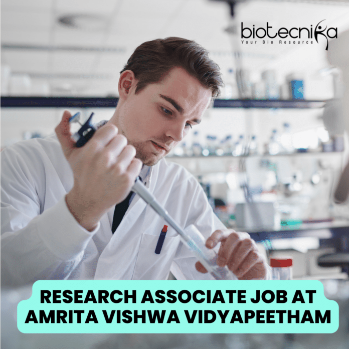 Research Job for PhD Candidates at Amrita Vishwa Vidyapeetham