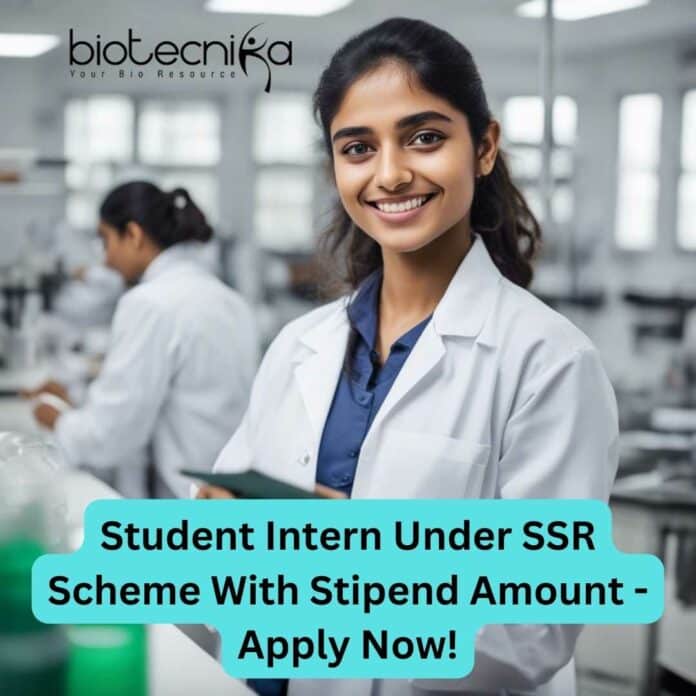 Internships With Stipend Life