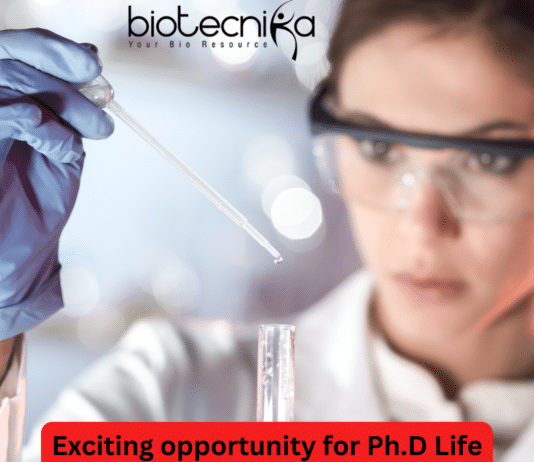 Life Sciences PDF Job