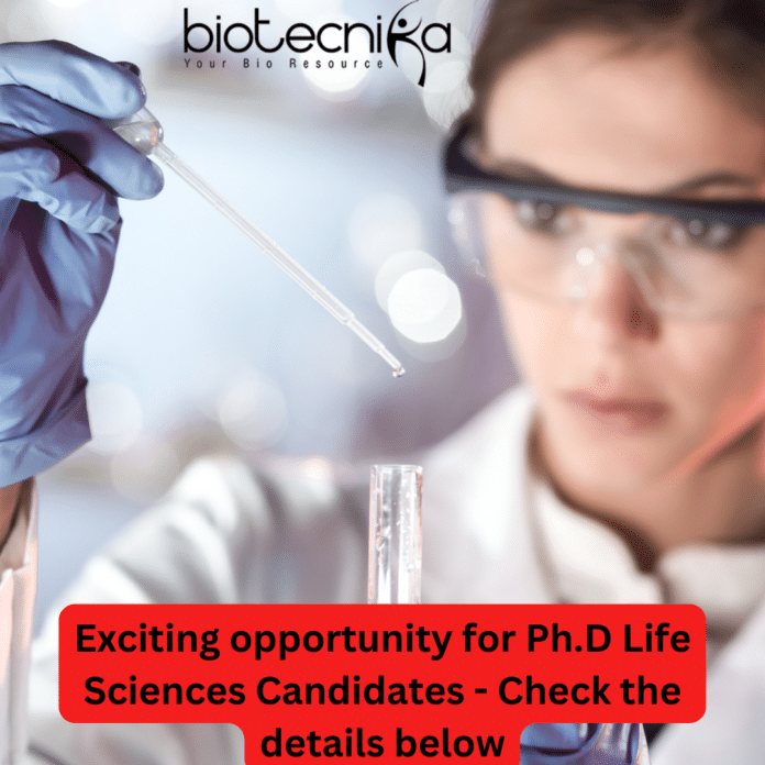 Life Sciences PDF Job