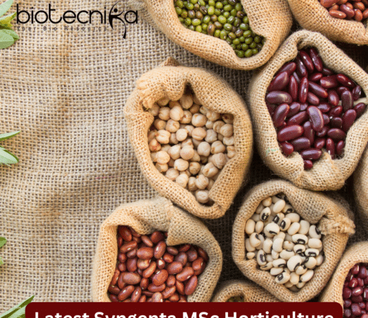 Latest MSc Horticulture Job