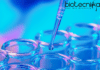 Lifescience Research Fellow Job