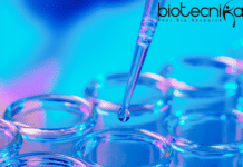 Multiple Research Positions at NABI – Life sciences /Biotechnology Walk-In Lifescience Research Fellow Job