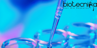 Lifescience Research Fellow Job