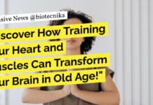 Discover How Training Your Heart and Muscles Can Transform Your Brain in Old Age! "Discover How Training Your Heart and Muscles Can Transform Your Brain in Old Age!"