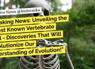 "Breaking News: Unveiling the Oldest Known Vertebrate Skull - Discoveries That Will Revolutionize Our Understanding of Evolution!"