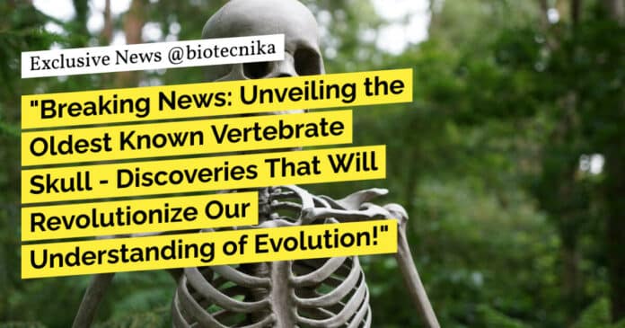 "Breaking News: Unveiling the Oldest Known Vertebrate Skull - Discoveries That Will Revolutionize Our Understanding of Evolution!"