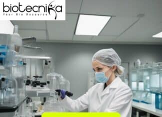 Latest MSc Jobs