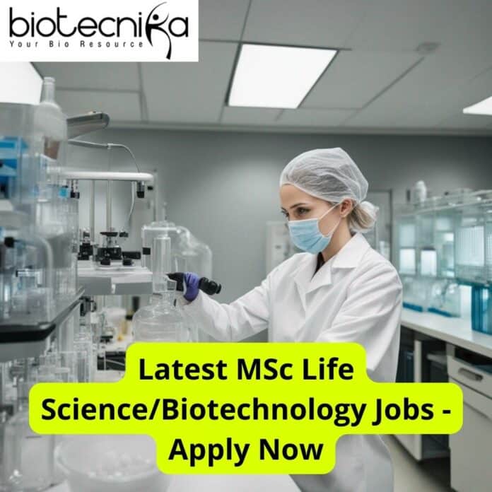 Latest MSc Jobs