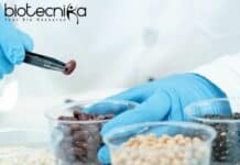 Food Science, Food Tech Job at DNV – Apply For Technical Reviewer Role DNV Food Tech Job - Apply For Technical Reviewer Role