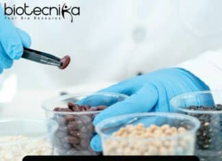 DNV Food Tech Job - Apply For Technical Reviewer Role