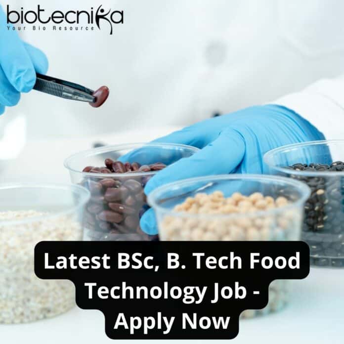 DNV Food Tech Job - Apply For Technical Reviewer Role