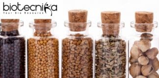BSc Food Science Jobs, Food Tech Apply For Scientist at McCormick & Company